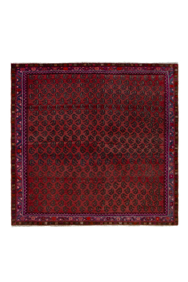 5343, Persian Lori Area Rug