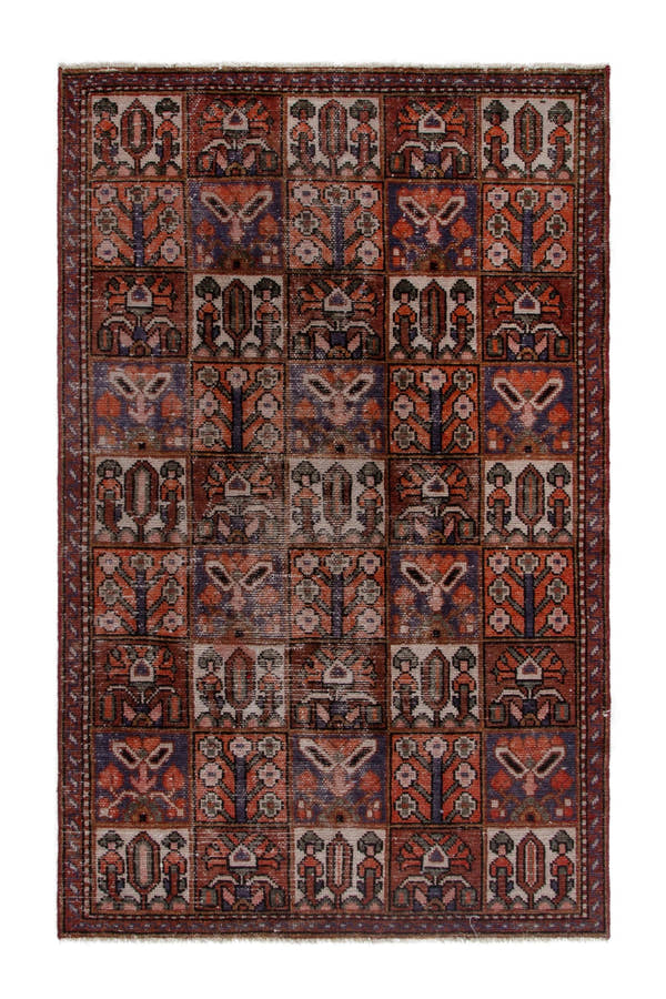 5379, Persian Bakhtiari Area Rug
