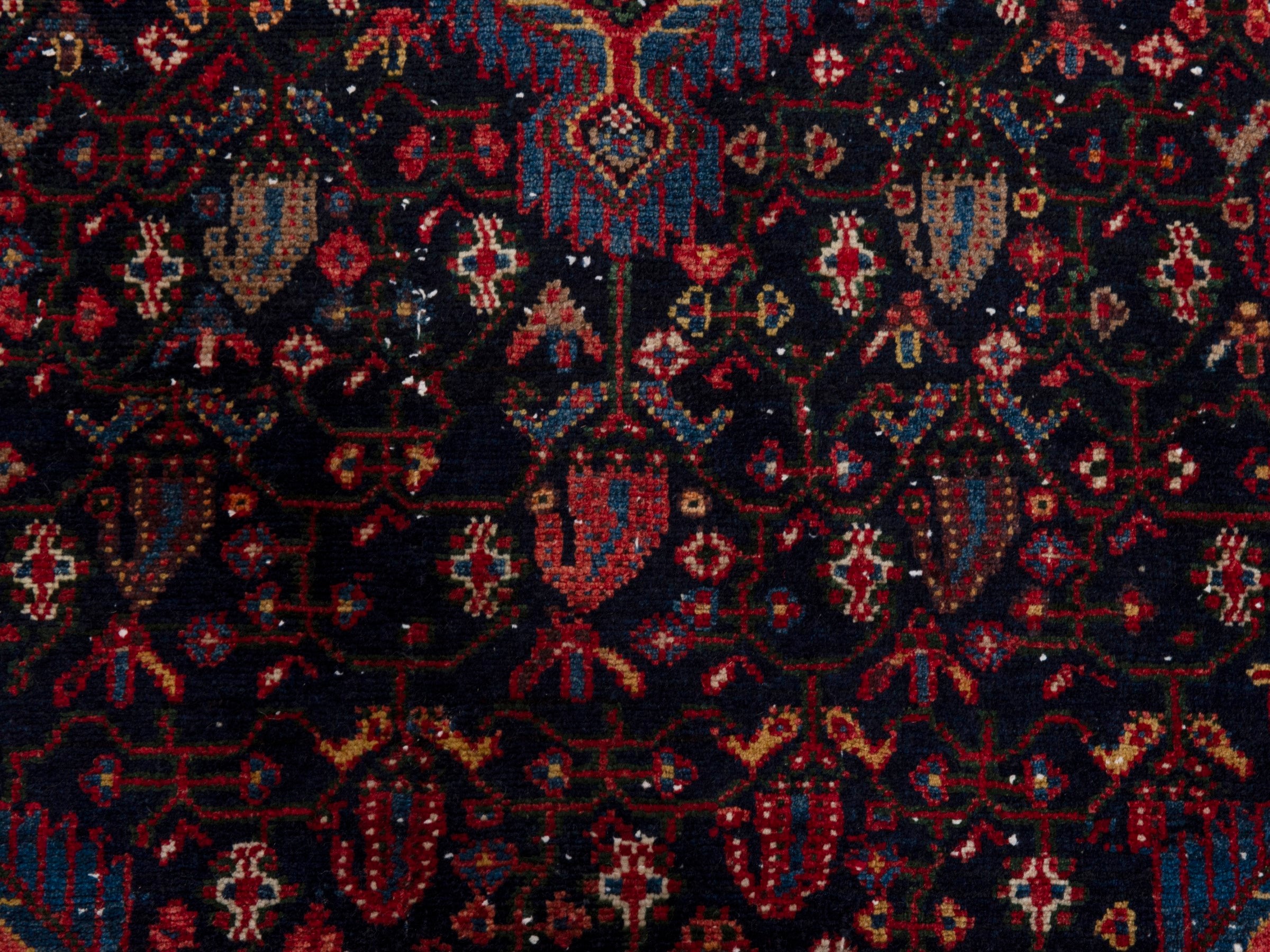 Persian Hamedan runner rug in navy and rose, view 12 of 21