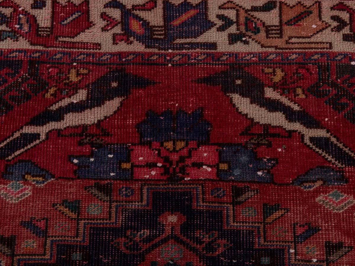 5481, Persian Shiraz Area Rug
