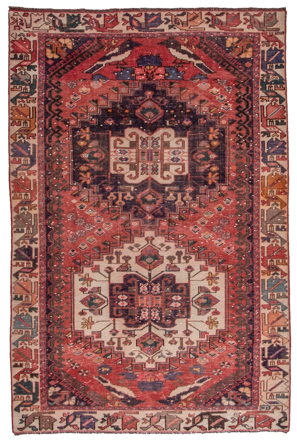5481, Persian Shiraz Area Rug