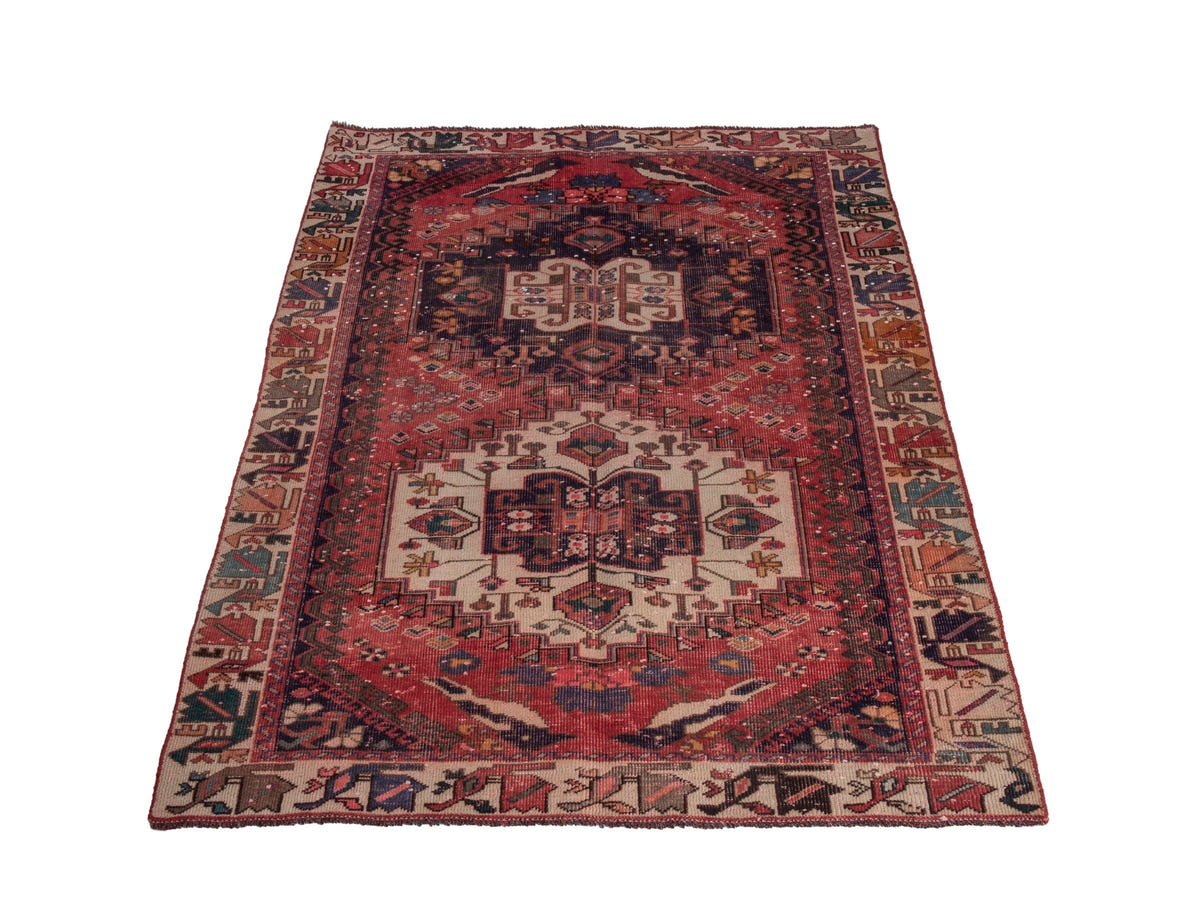5481, Persian Shiraz Area Rug