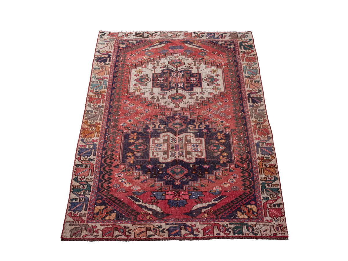 5481, Persian Shiraz Area Rug