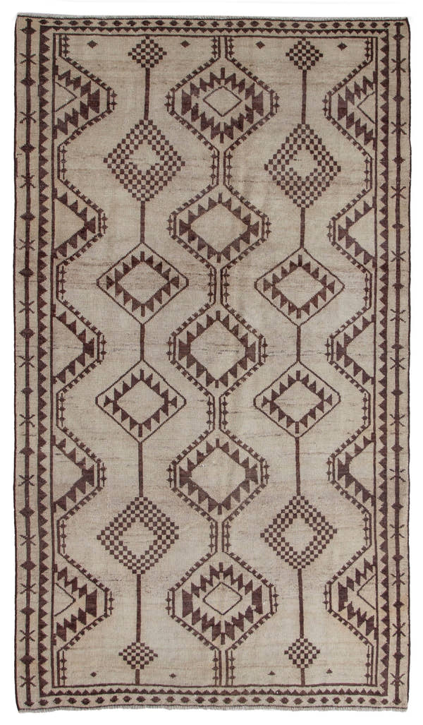 5489, Persian Shiraz Area Rug
