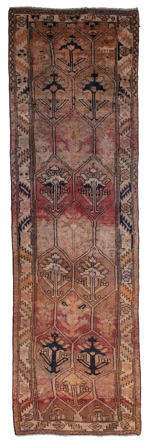 5501, Persian Shiraz Runner Rug