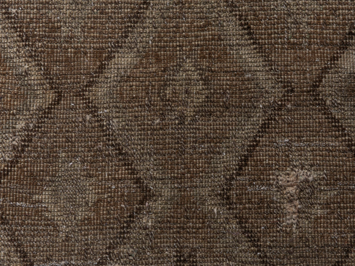 5507, Persian Shiraz Area Rug