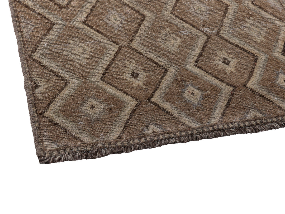 5507, Persian Shiraz Area Rug