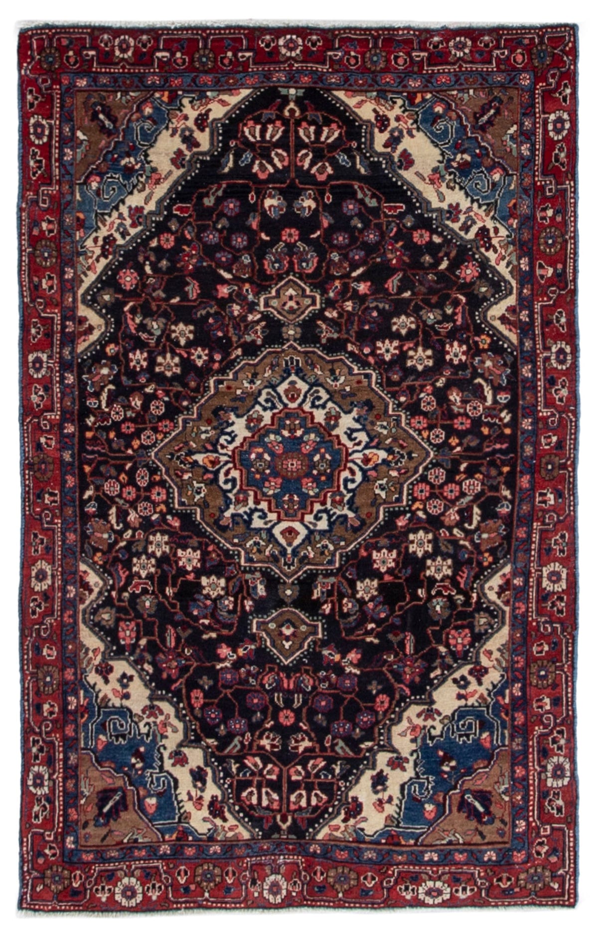 5520, Persian Malayer Area Rug