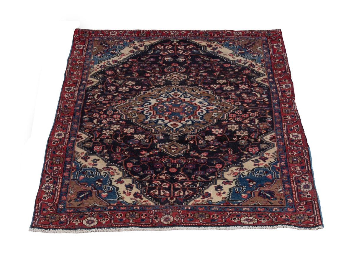 5520, Persian Malayer Area Rug
