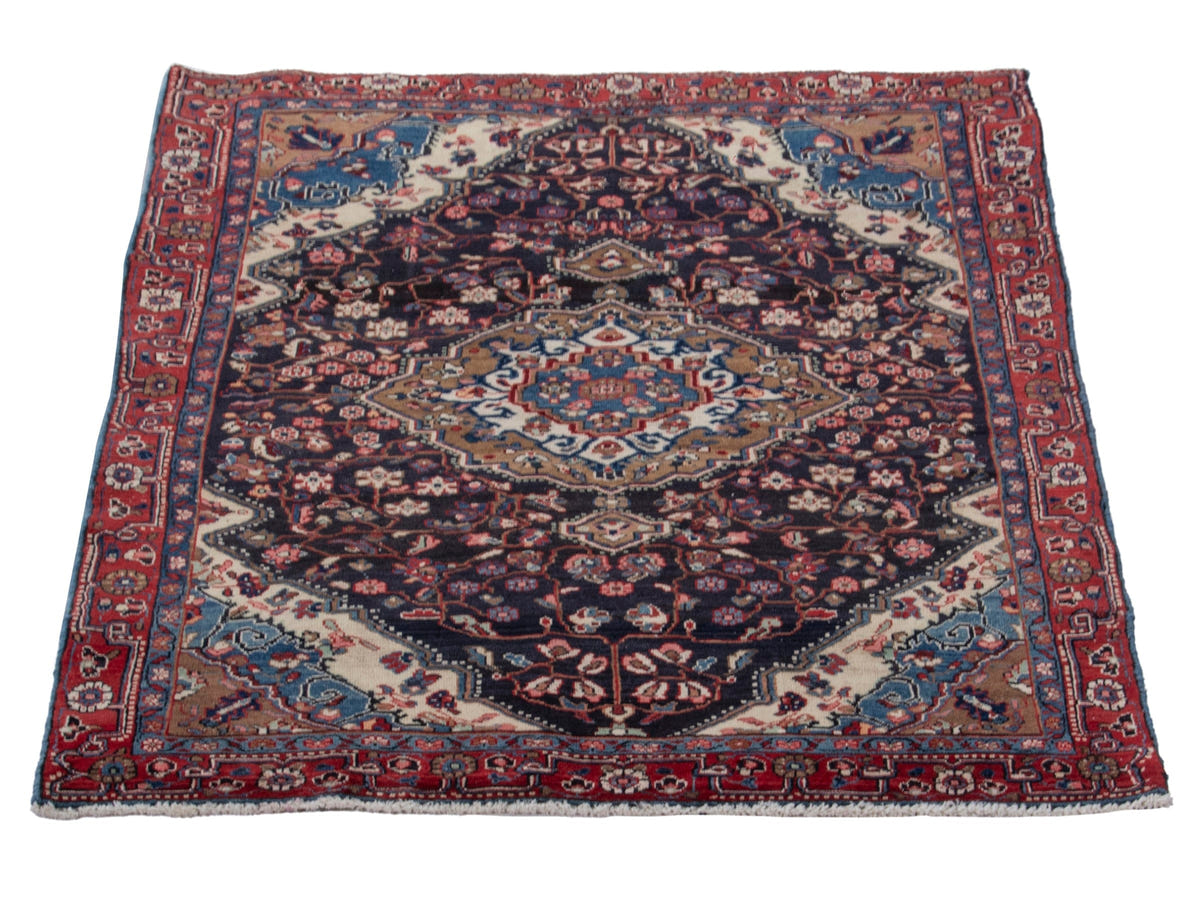 5520, Persian Malayer Area Rug