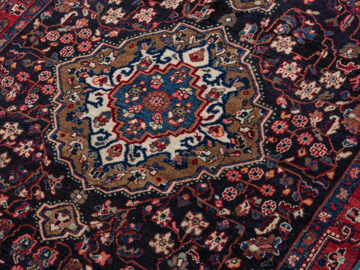 5520, Persian Malayer Area Rug