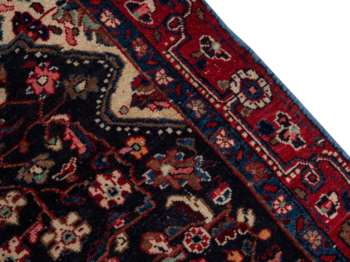 5520, Persian Malayer Area Rug