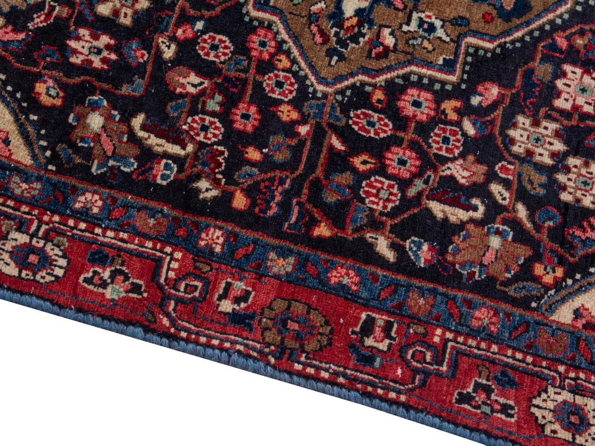 5520, Persian Malayer Area Rug