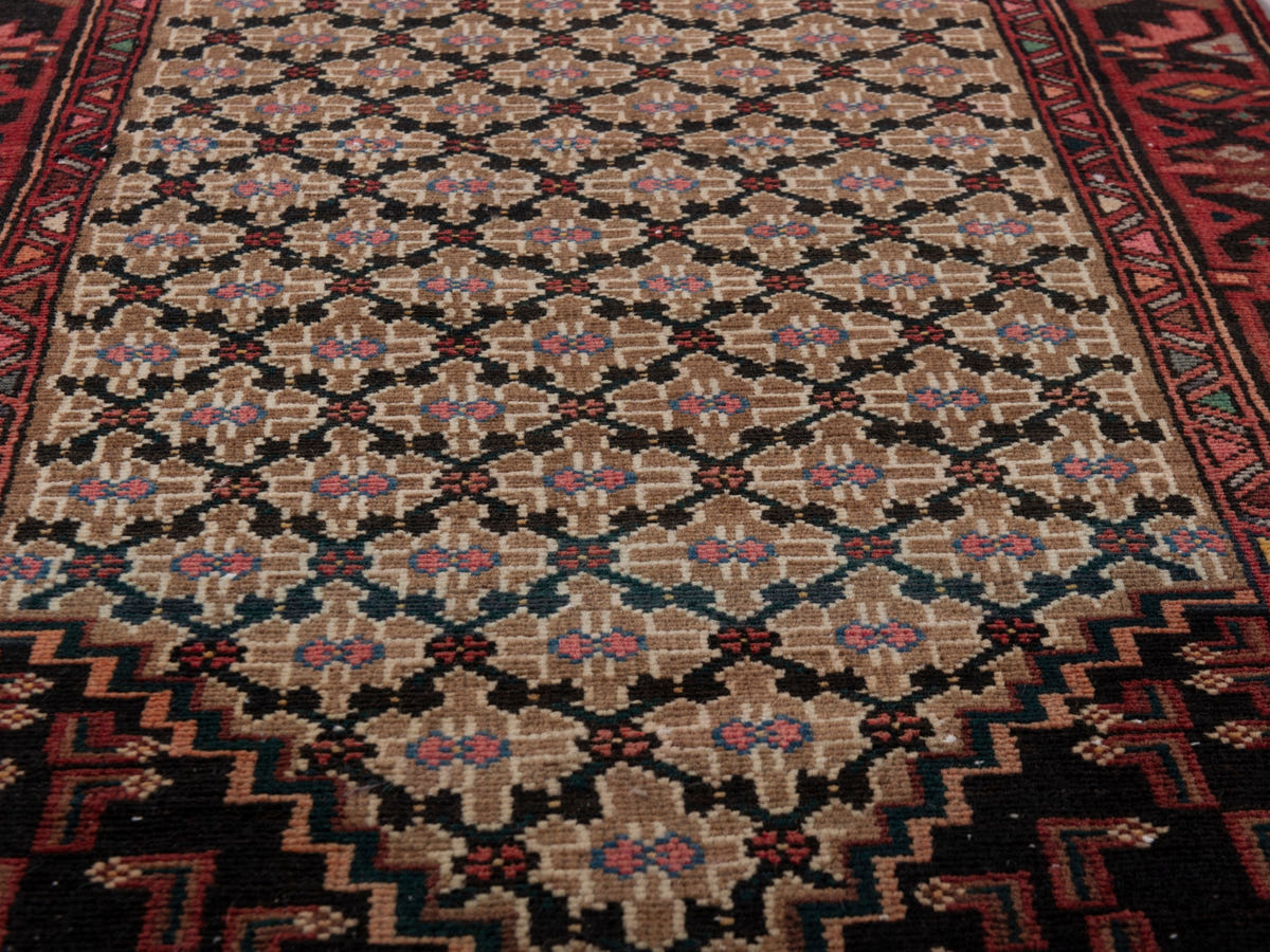 5545, Persian Songhor Area Rug