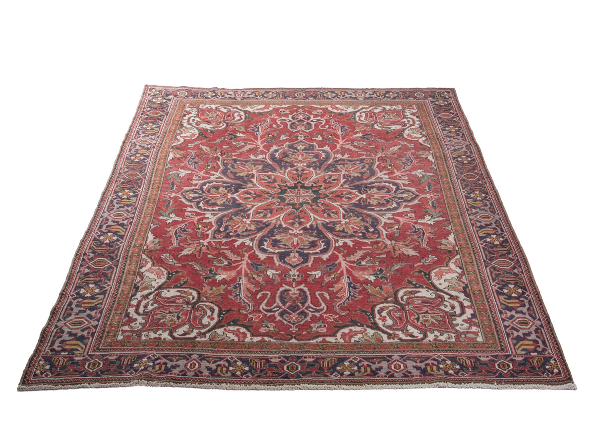 5551, Persian Goravan Oversized Rug