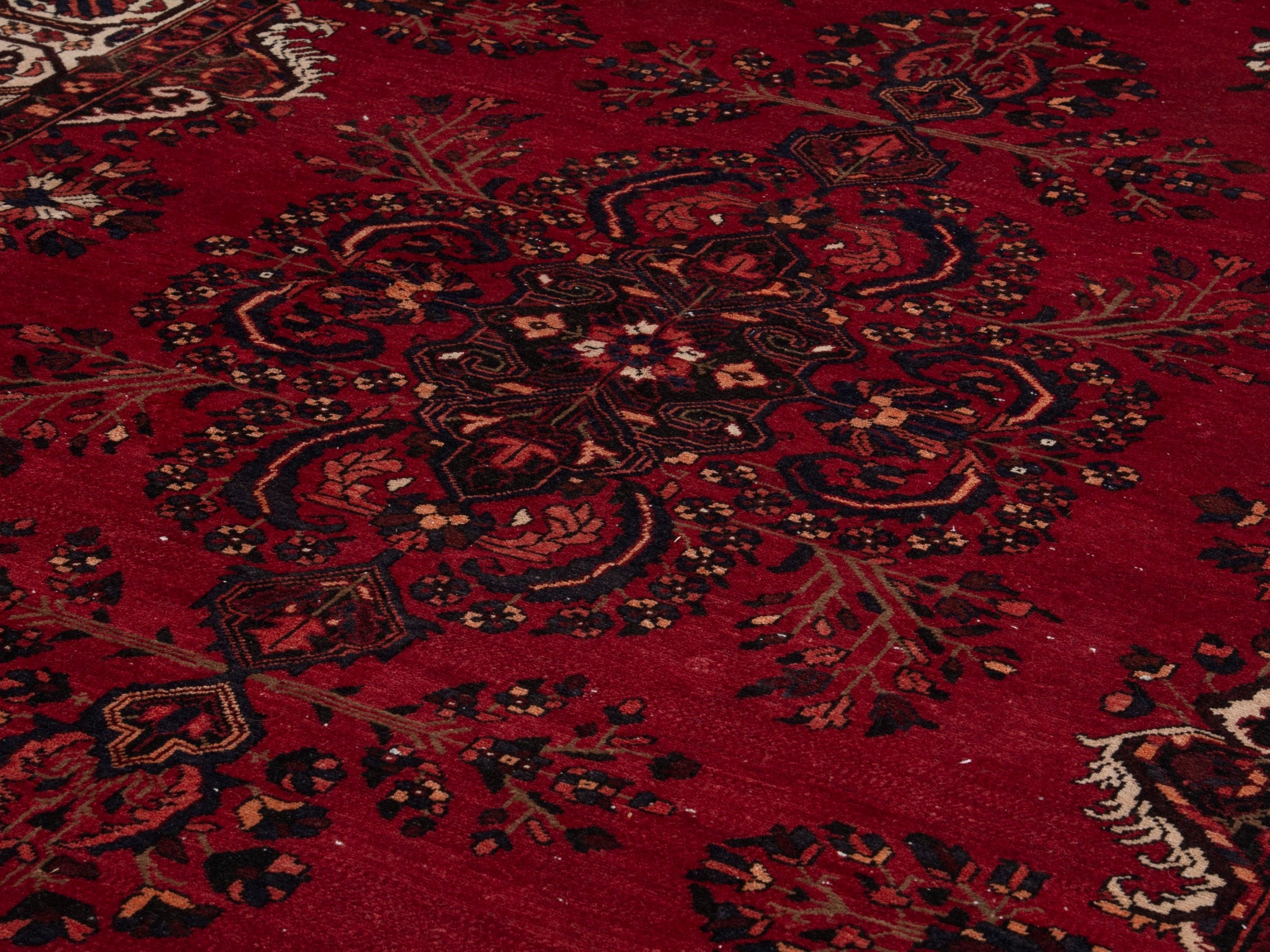 Persian Bakhtiari oversized rug in deep red and cream, view 9 of 20