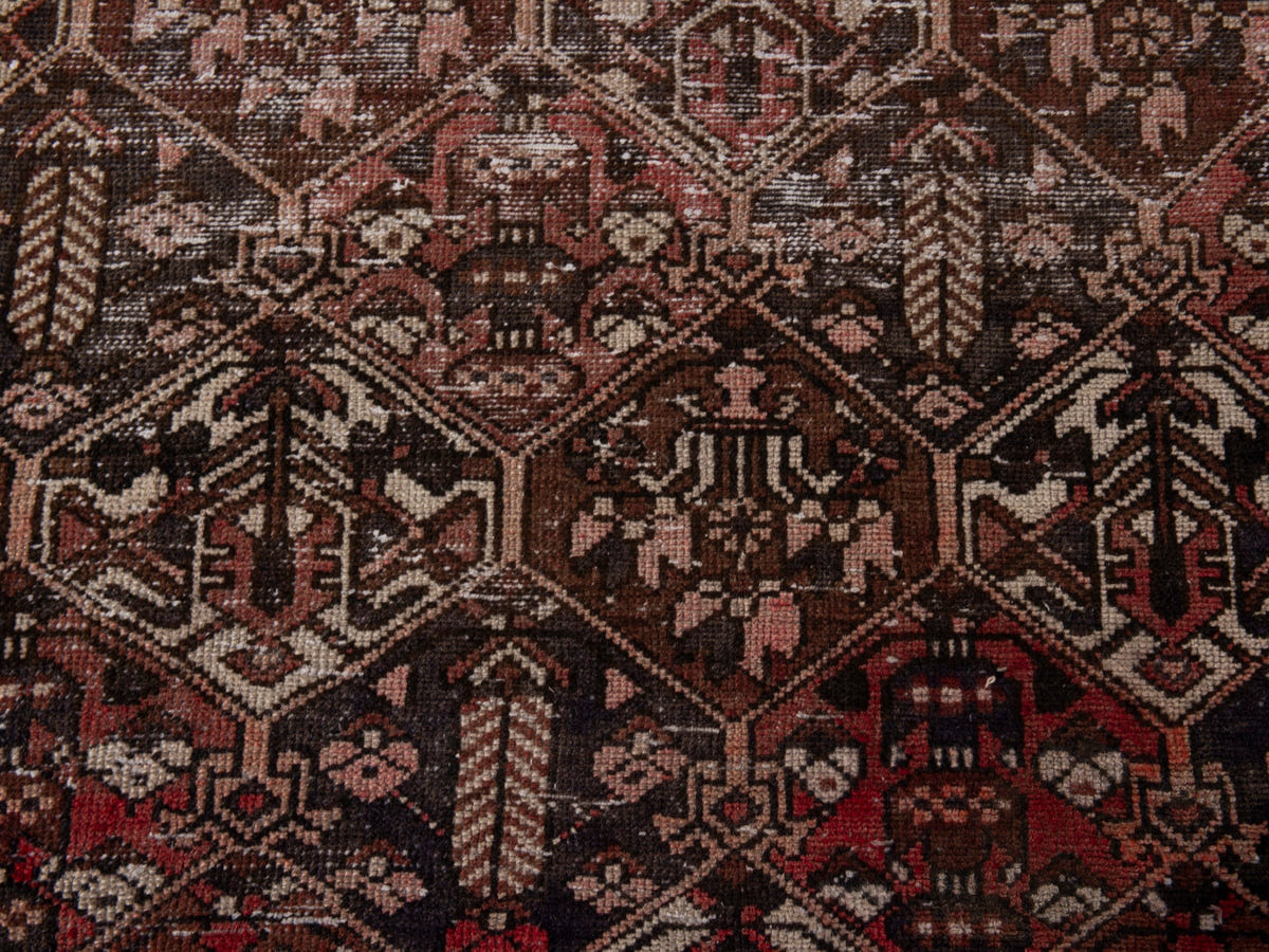 5570, Persian Bakhtiari Oversized Rug