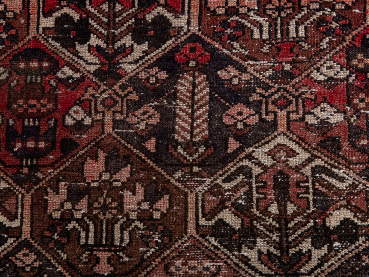 5570, Persian Bakhtiari Oversized Rug