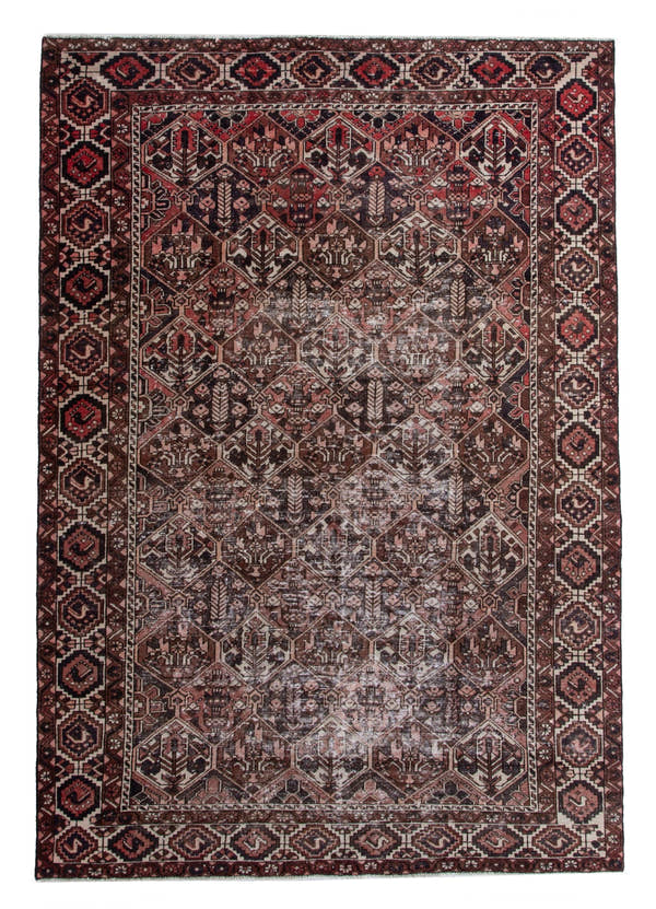 5570, Persian Bakhtiari Oversized Rug