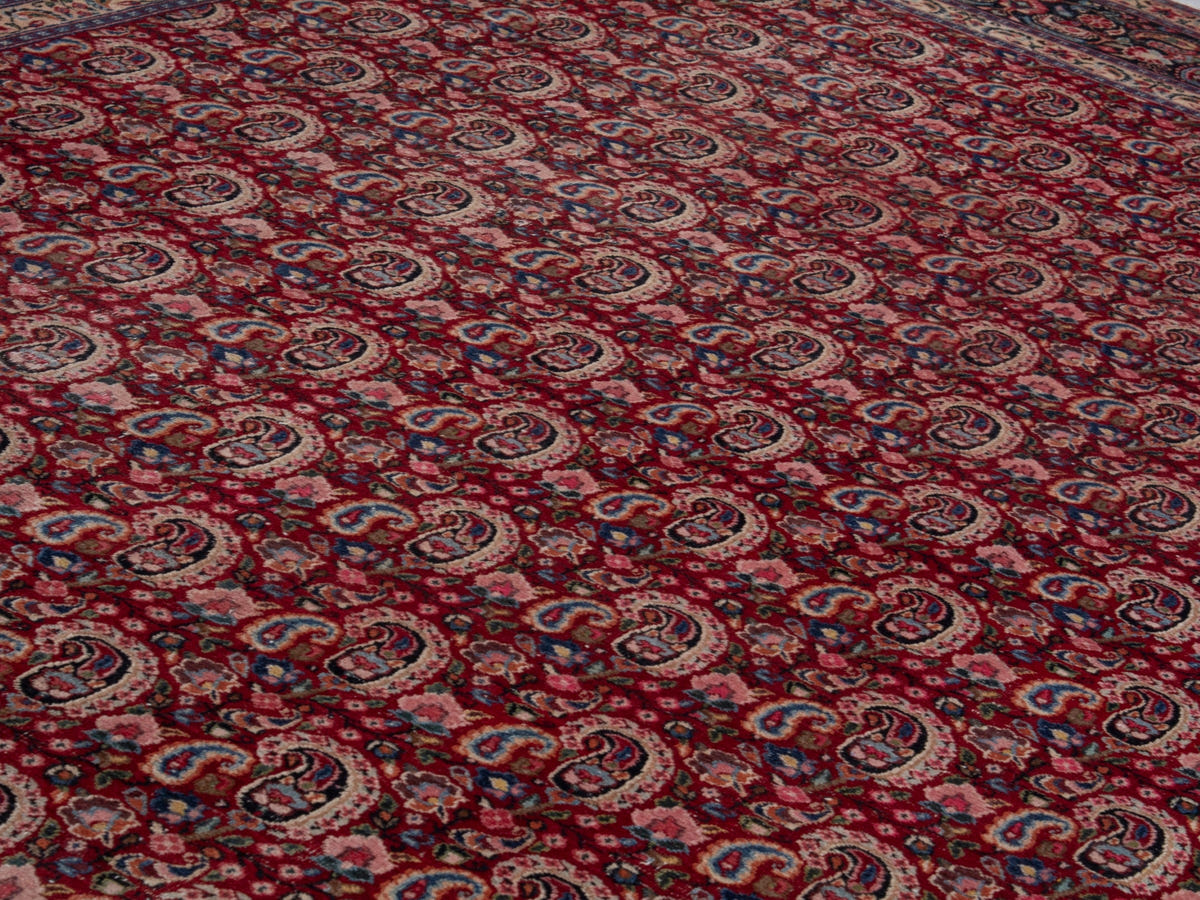 5599, Persian Birjand Oversized Rug