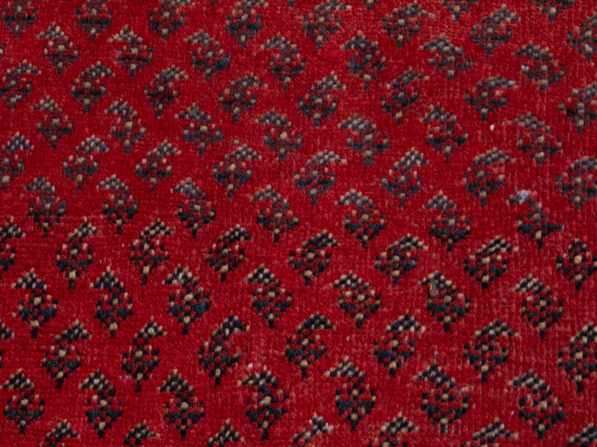 5679, Persian Arak Runner Rug