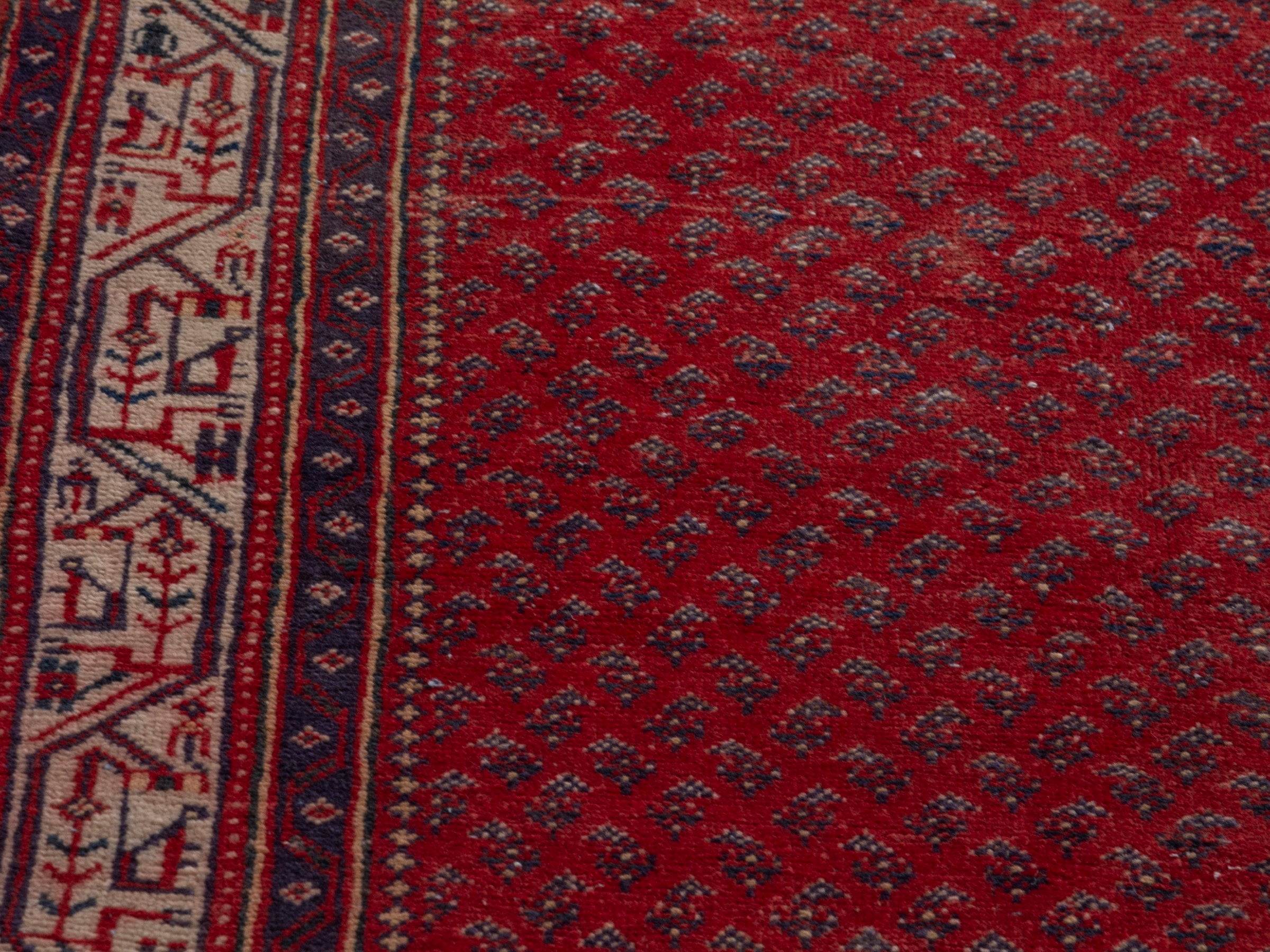 Persian Arak runner rug in deep red and cream, view 7 of 21