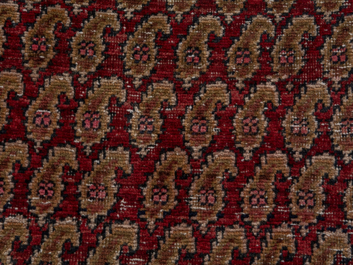 5689, Persian Sirjan Area Rug