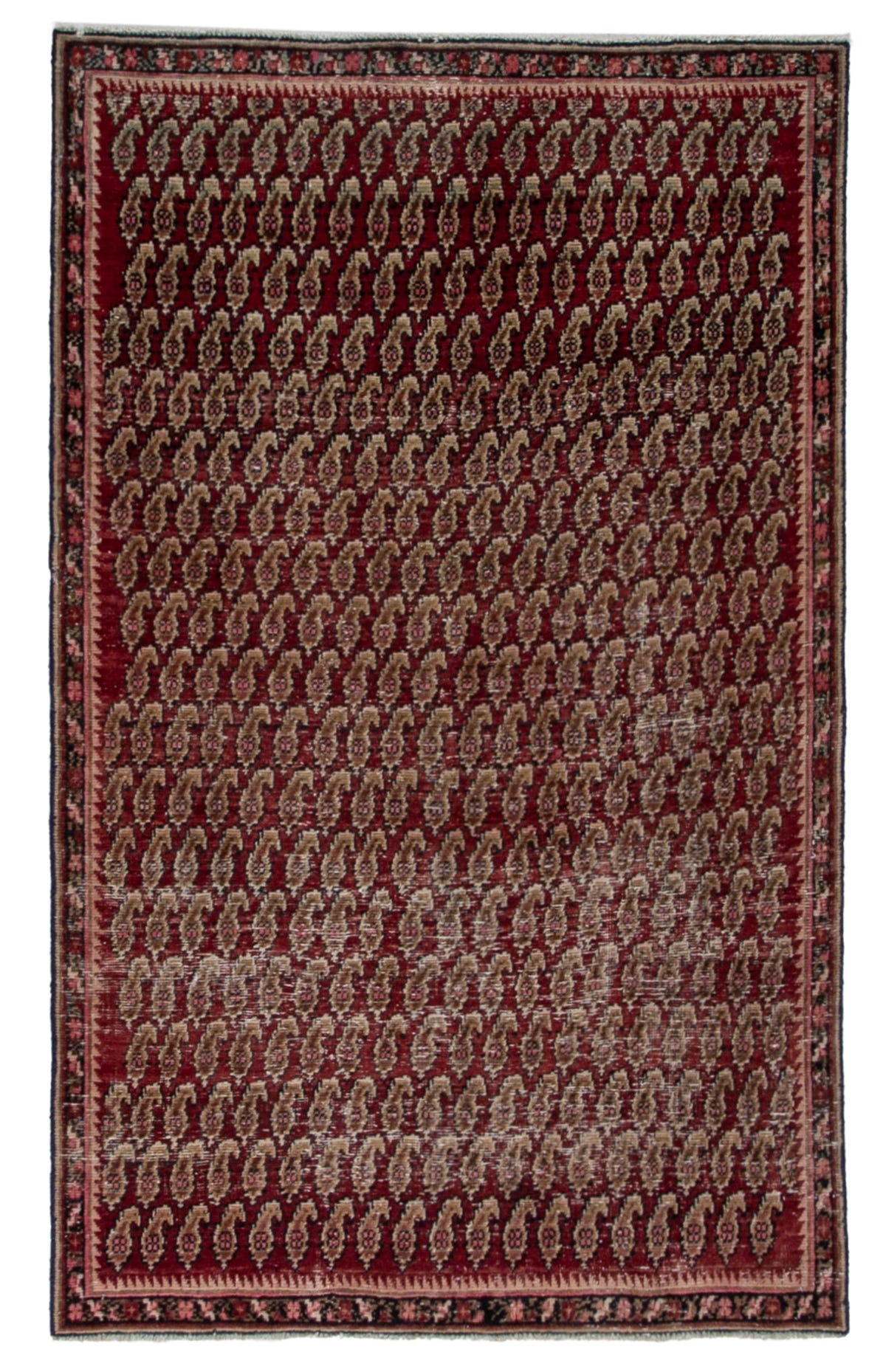 5689, Persian Sirjan Area Rug
