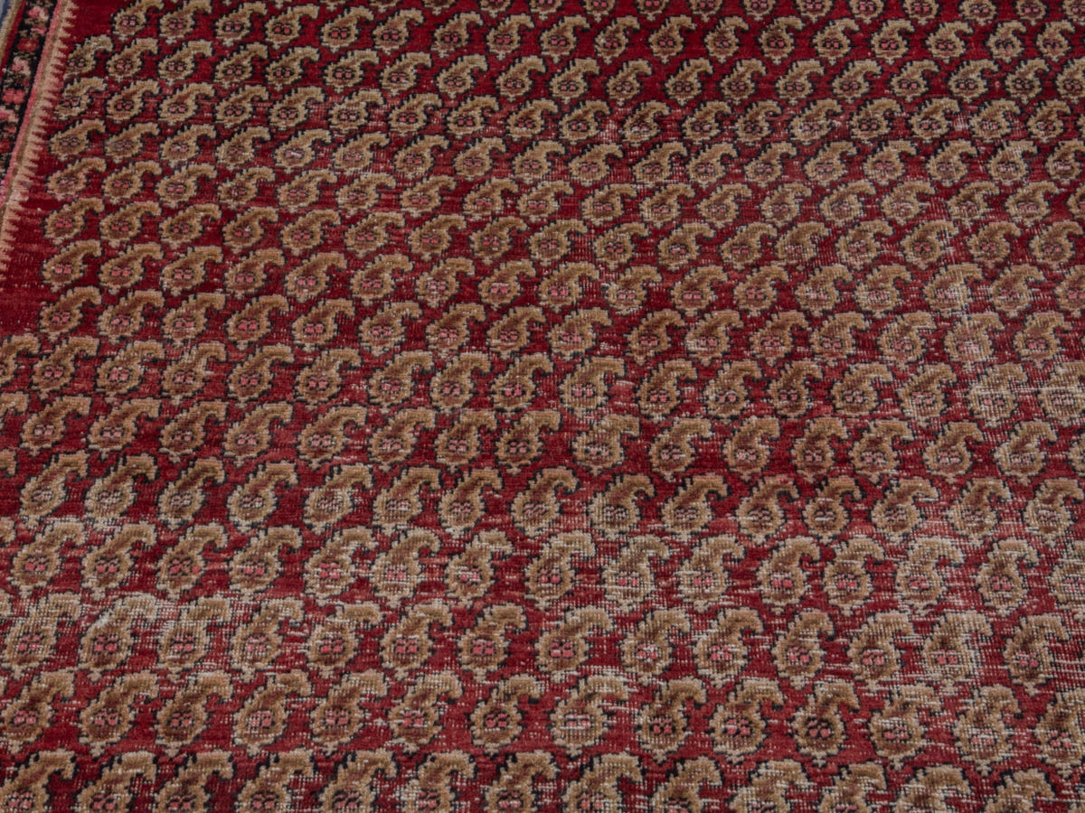 5689, Persian Sirjan Area Rug