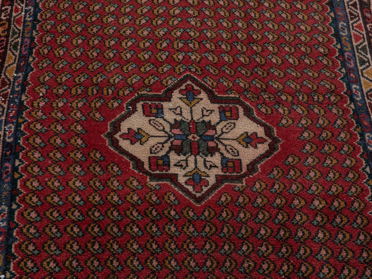 5700, Persian Hamadan Runner Rug