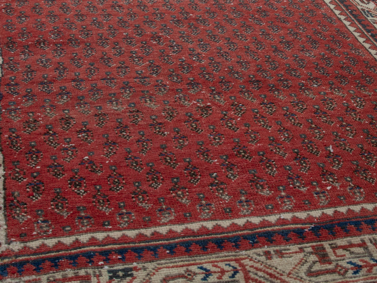 5709, Persian Arak Area Rug