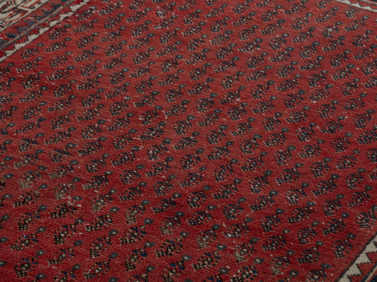 5709, Persian Arak Area Rug