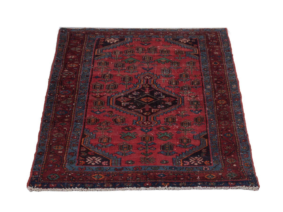 5710, Persian Hamadan Area Rug