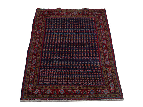 5731, Persian Vist Area Rug