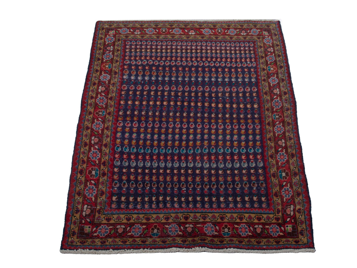 5731, Persian Vist Area Rug