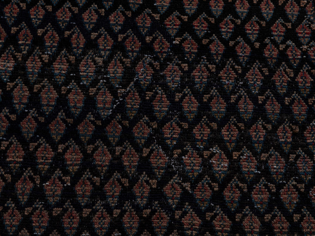 5737, Persian Botteh Area Rug