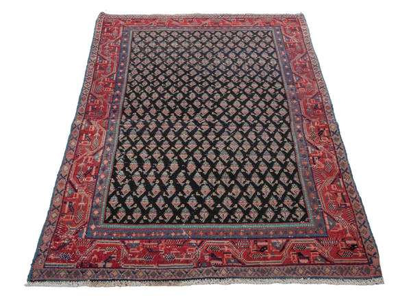 5737, Persian Botteh Area Rug