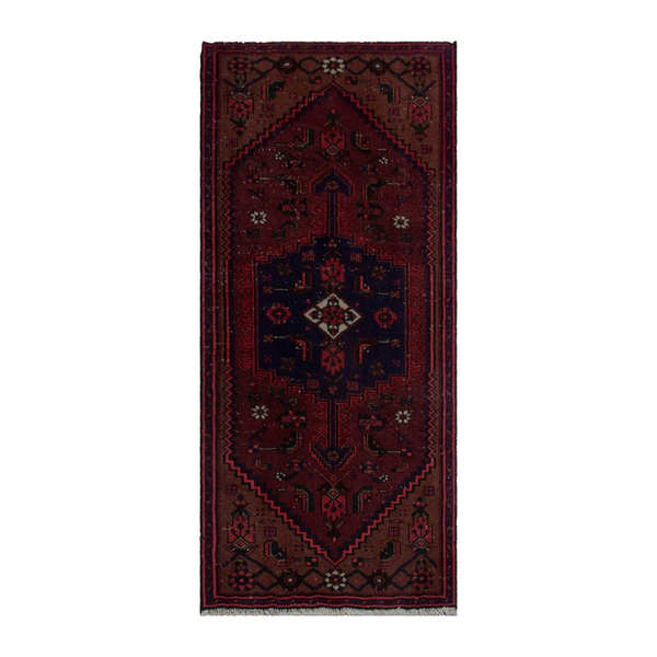 5769 - Persian Zanjan Runner Rug 2'9" x 6'3"