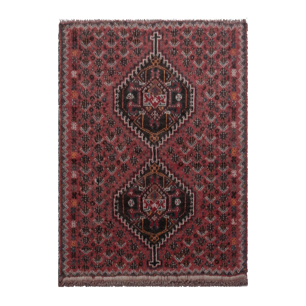 5785 - Persian Shiraz Accent Rug 2'9" x 3'11"