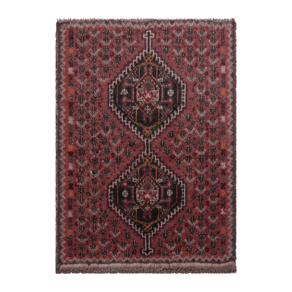 5785 - Persian Shiraz Accent Rug 2'9" x 3'11"