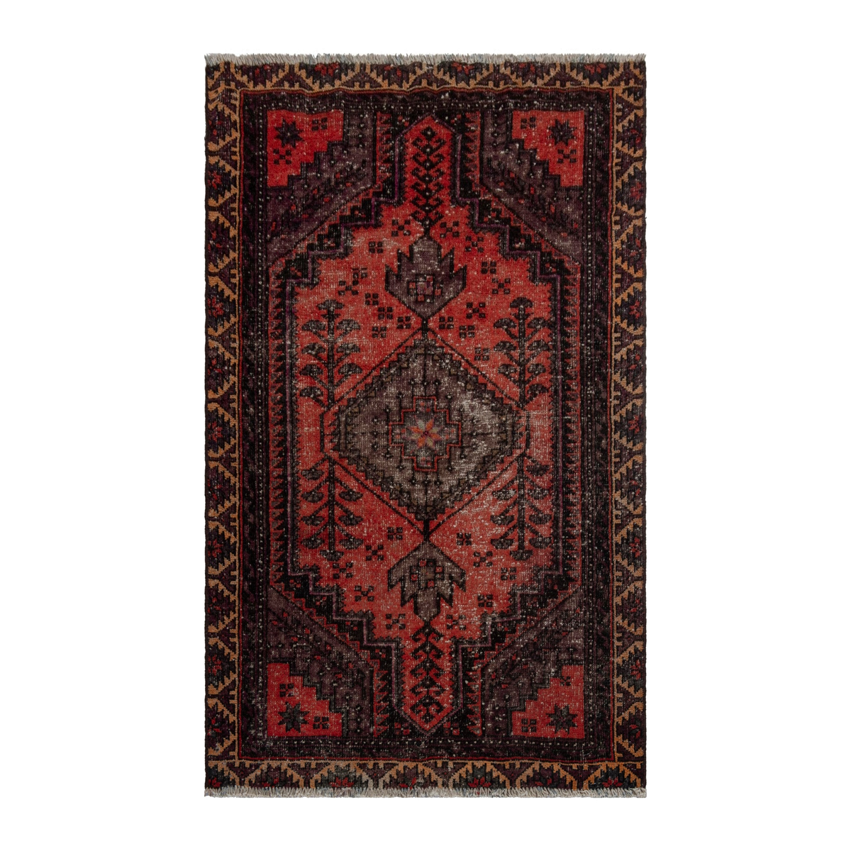 5788 - Persian Zanjan Accent Rug 3'3" x 5'5"