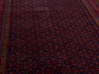 5818 view 10