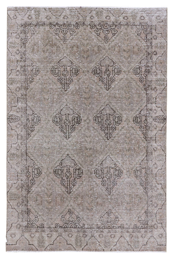 8898, Persian Bakhtiari Area Rug