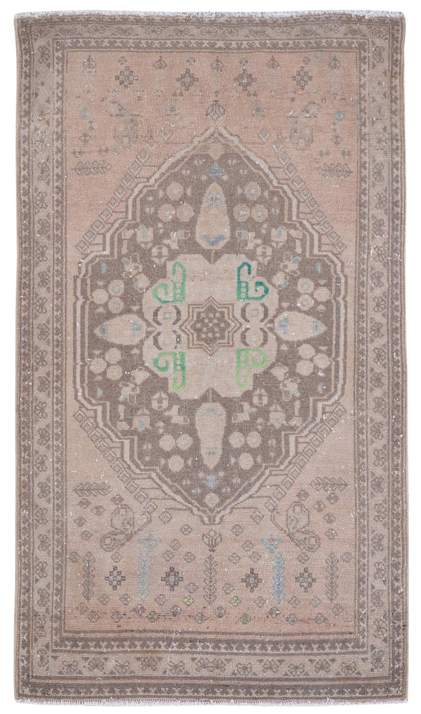 8946, Persian Shiraz Area Rug