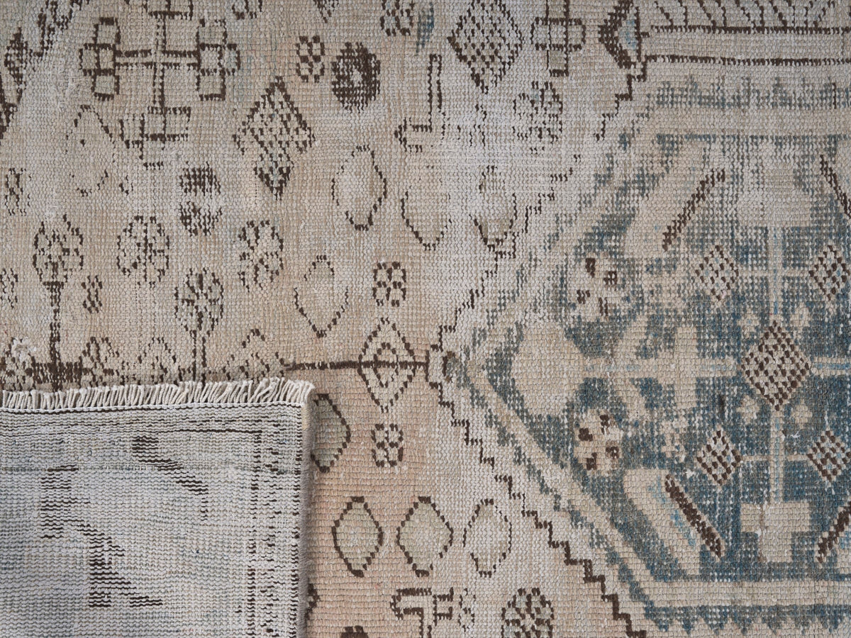 8960, Persian Zanjan Area Rug