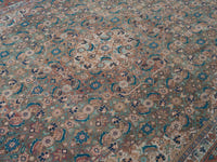 8976 view 10