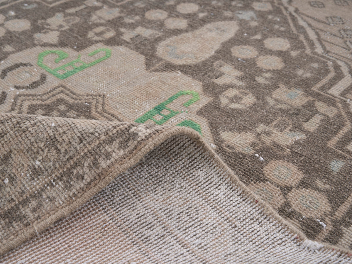 8946, Persian Shiraz Area Rug