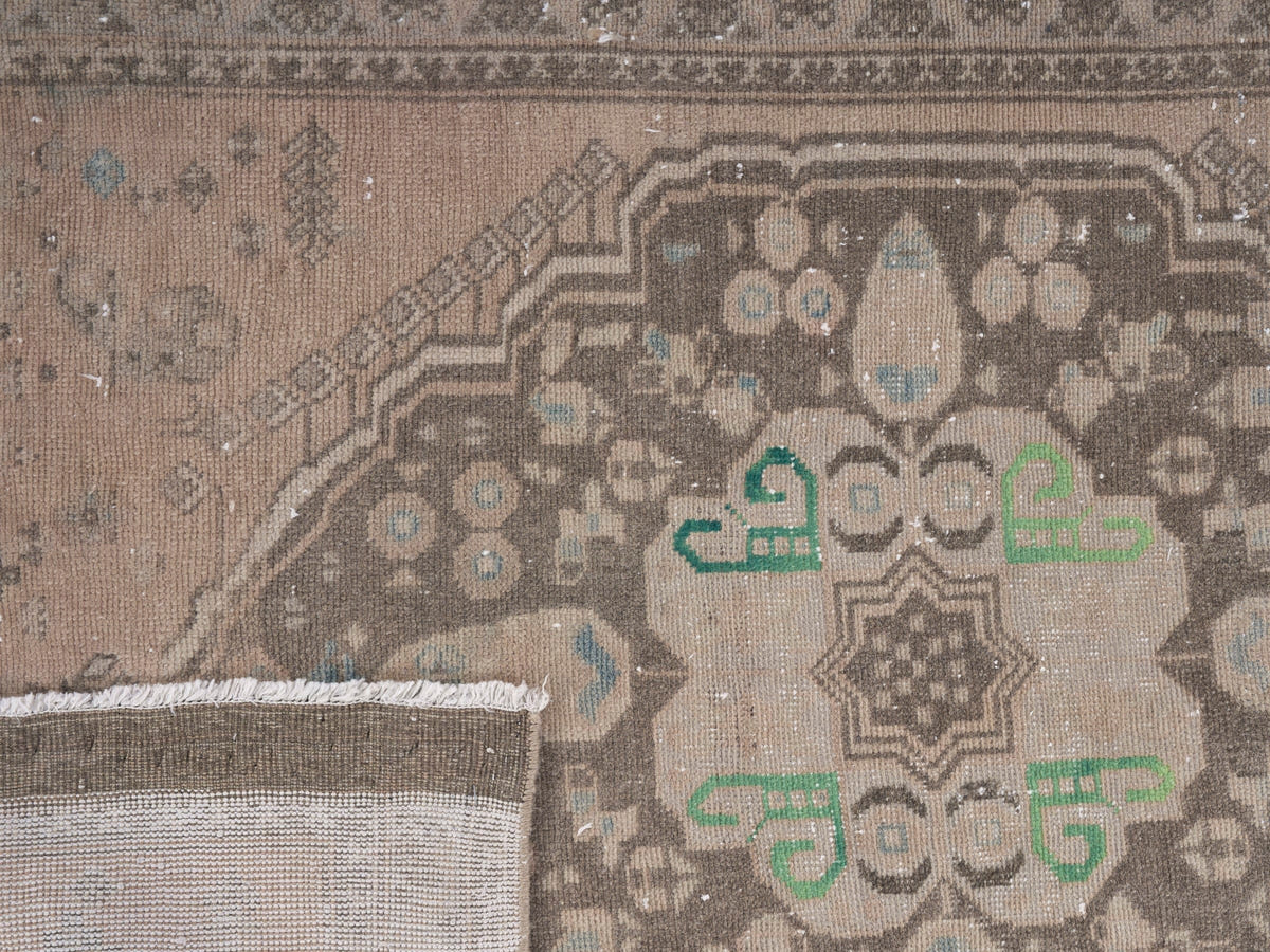 8946, Persian Shiraz Area Rug