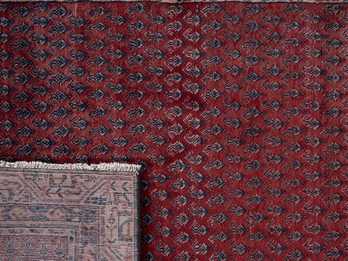 8310, Persian Arak Runner Rug