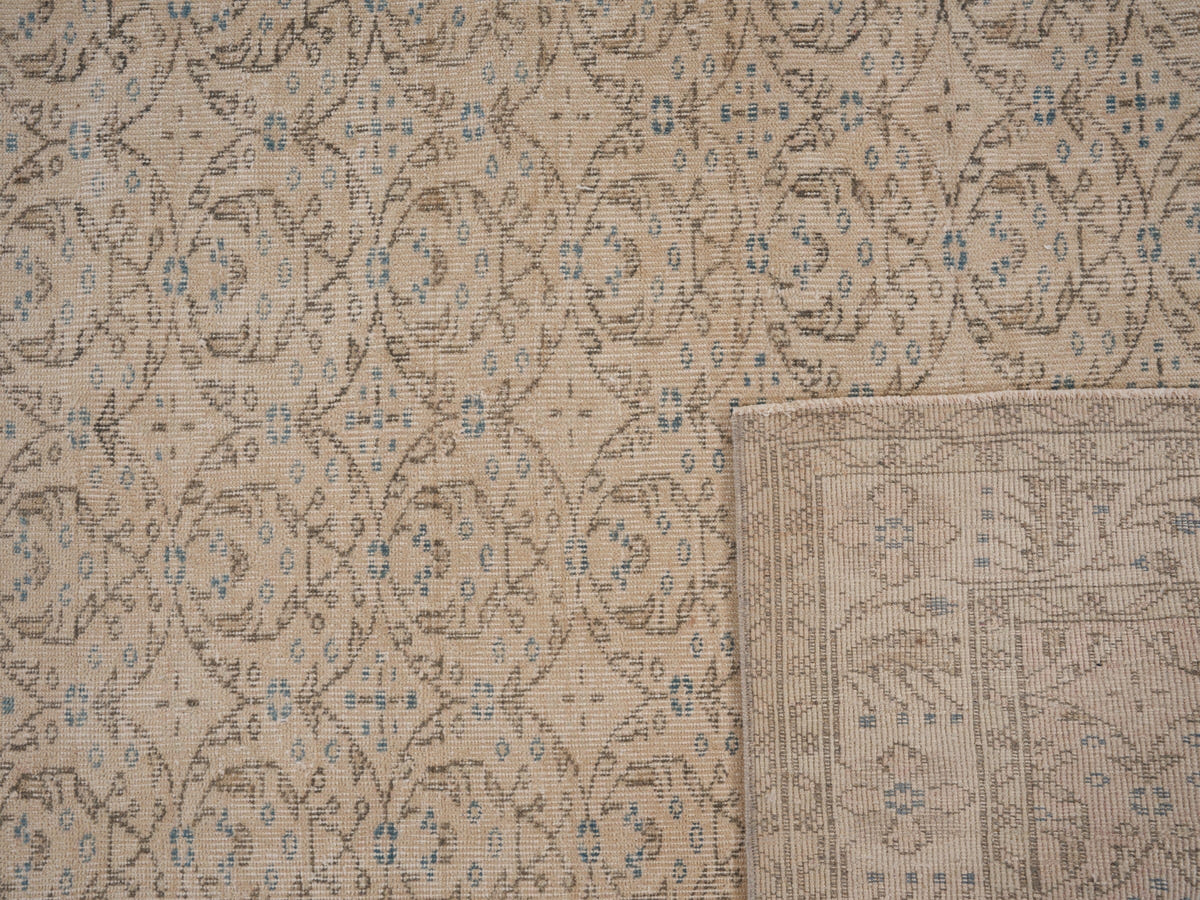 8137, Turkish Isparta Area Rug